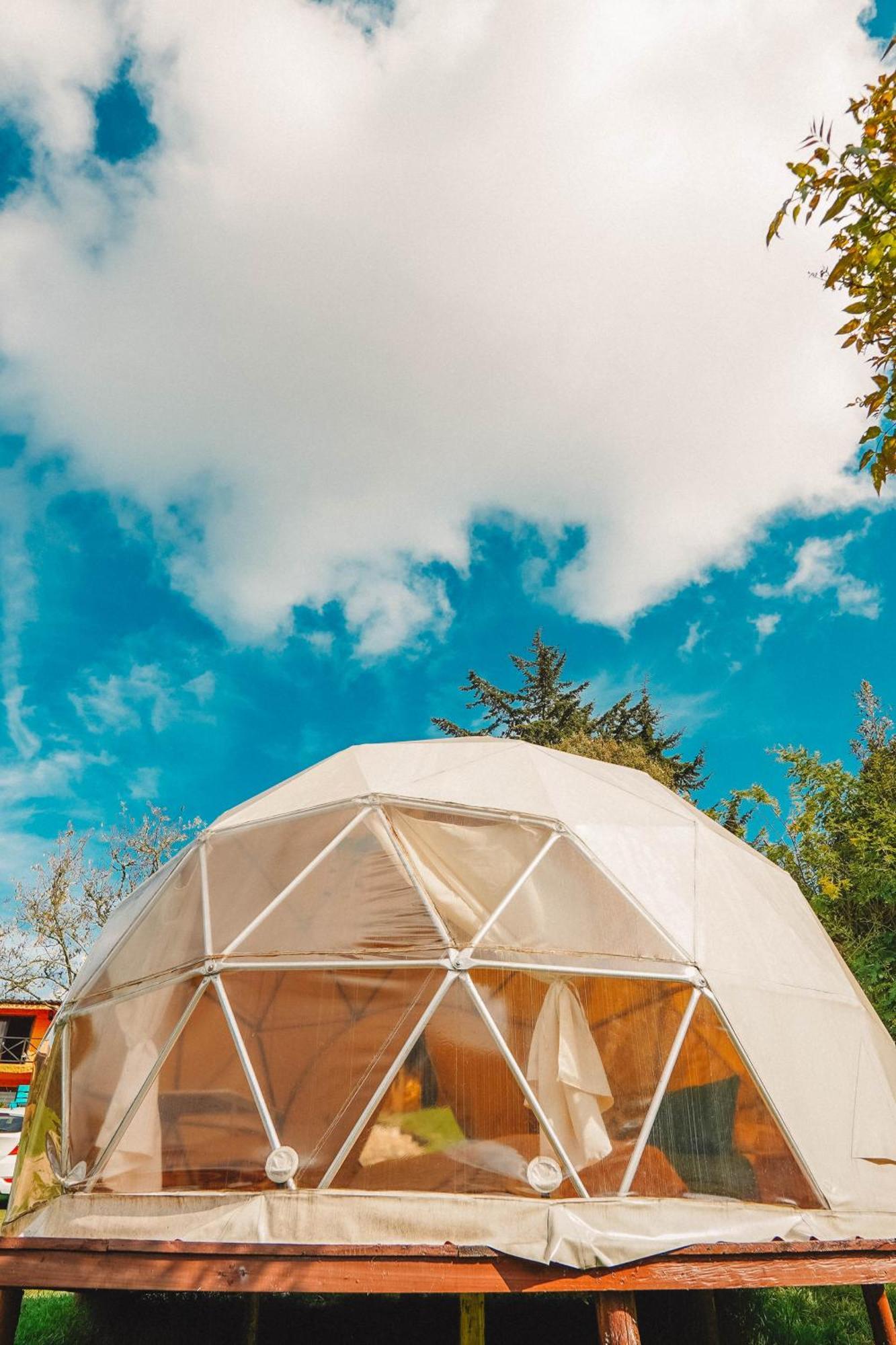 Alma De Campo Glamping - Laguna De Suesca Kültér fotó